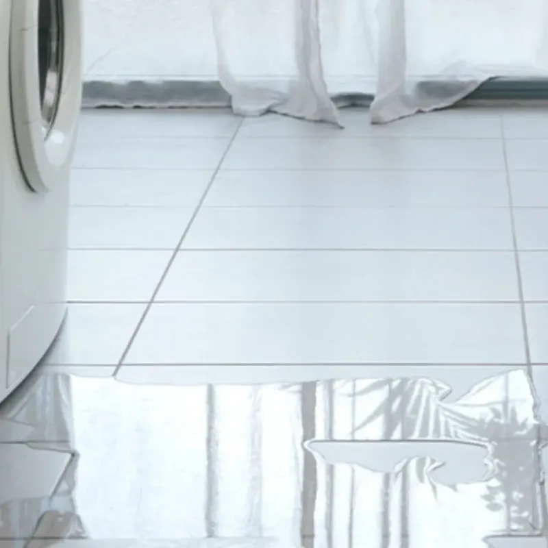Appliance Leak Cleanup in Fairwood, MD